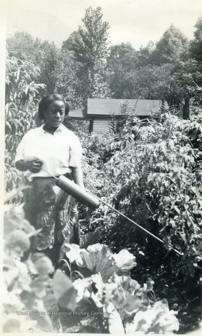 Homemaker in her garden. Kanawa County, 1951. Courtesy WVRHC