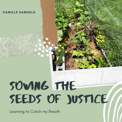 Image of plants with text sowing seeds of justice