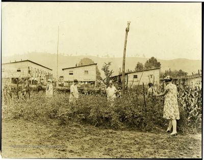 Women working in the garden at a barrack village near Fairmont, West Virginia, 1926.